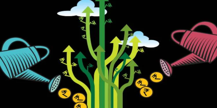 meneging-portfolio-beginners-theinvestmentdaily