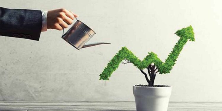 How to Avoid Investment Scams