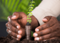 The rise of sustainable and socially responsible investing