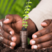 The rise of sustainable and socially responsible investing