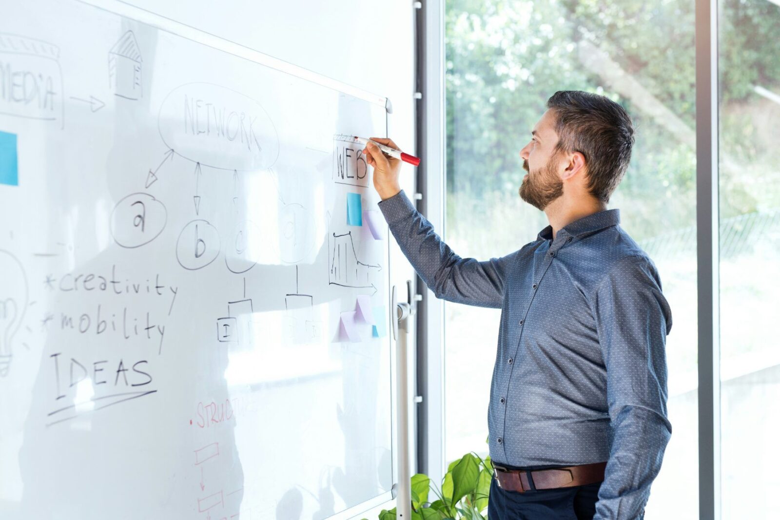 A founder planning an SEIS round on a whiteboard